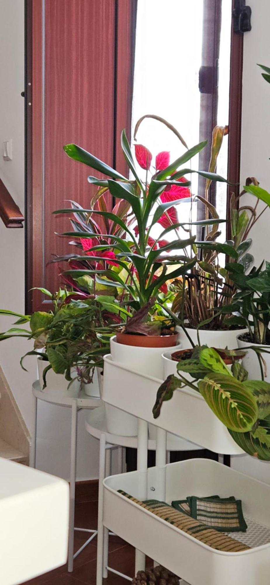Apartamentos Los Descalzos Angel With Private Terrace Free Parking Ronda Exterior foto